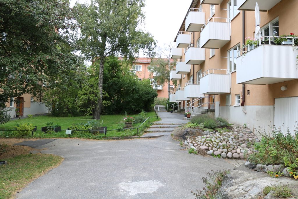 Silvergranen